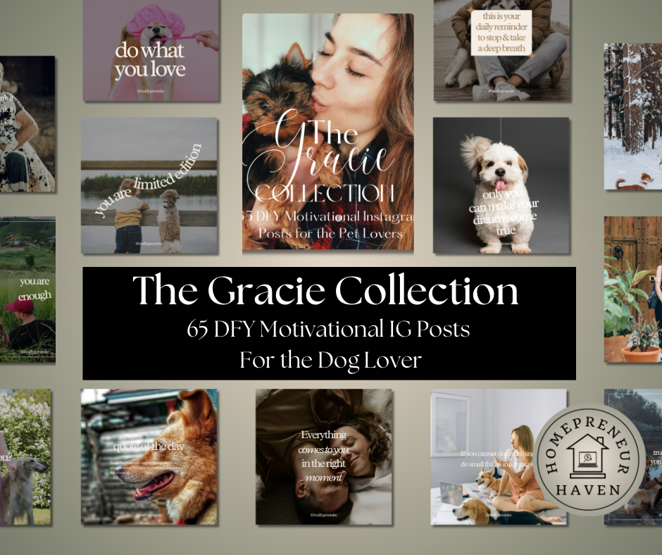 THE GRACIE COLLECTION: 65 DFY Motivational Instagram Posts for the Pet Lovers